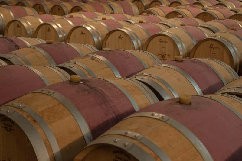 Bordeaux: Château Saint Ahon classic tour - Introducing the Château Saint Ahon Classic Tour