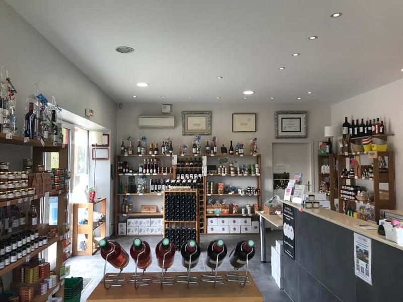 Bordeaux: Château Saint Ahon classic tour - Key points / Takeaways