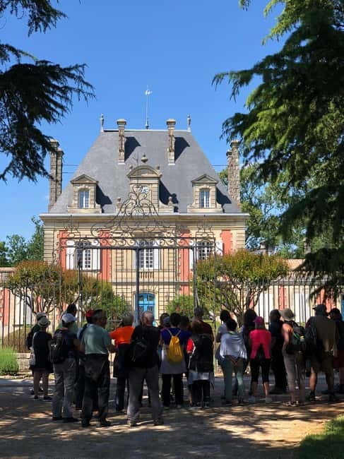 Bordeaux: Château Saint Ahon classic tour - The Guided Tour: What You Can Expect