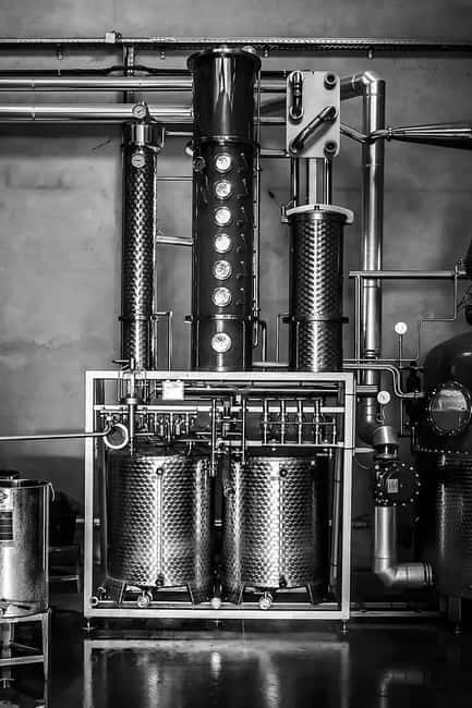 Bordeaux: Distillery Guided Tour with Tasting - Who Will Enjoy This?