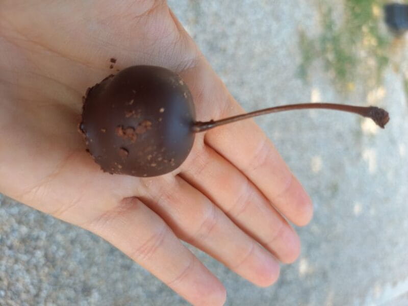 Bordeaux food tour: sweet specialities & highlights - Final Thoughts: Is It Worth It?