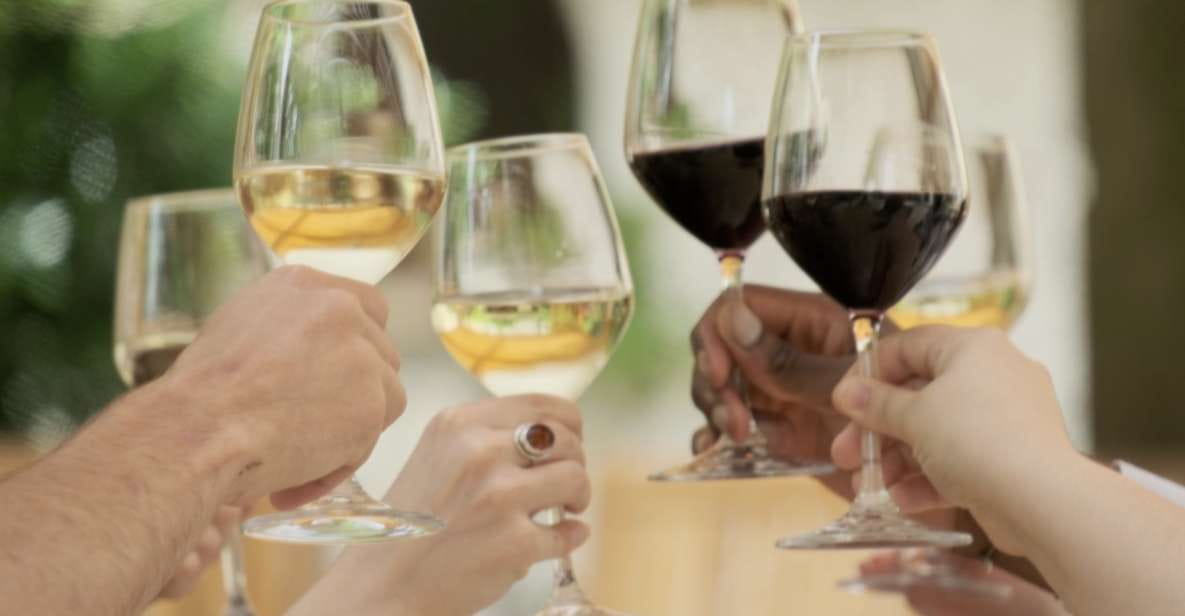 Bordeaux: Full Day Wine Tastings & Lunch - Immerse in Winemaking Culture
