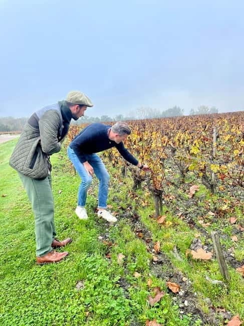 Bordeaux: Graves, Pessac-Léognan, and Sauternes Vineyards - Tasting and Picnicking: Savoring Bordeaux’s Flavors