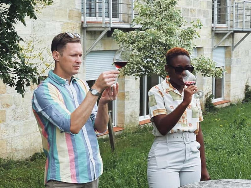 Bordeaux: Half-Day Private Natural Wine Tour & Tasting - Exploring Bordeaux’s Natural Wine Scene: A Detailed Look at the Half-Day Private Tour