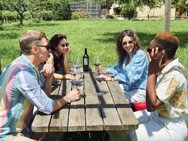 Bordeaux: Half-Day Private Natural Wine Tour & Tasting - Key Points / Takeaways