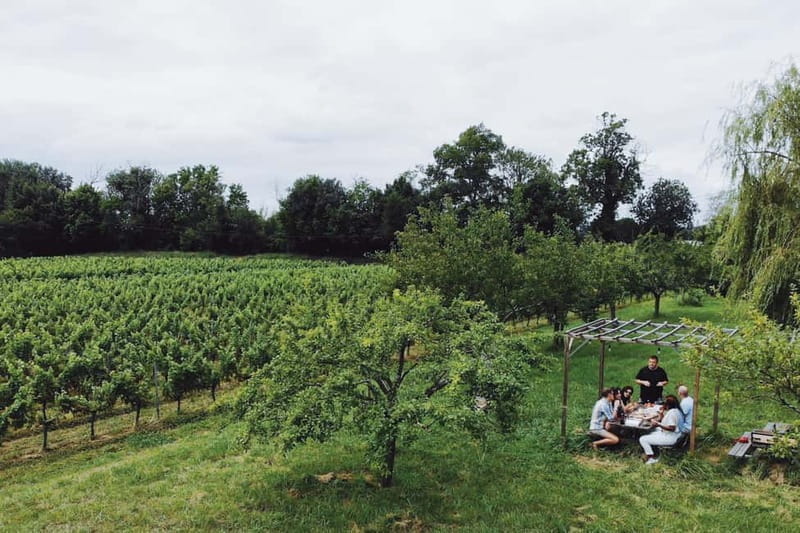 Bordeaux: Half-Day Private Natural Wine Tour & Tasting - Who Will Love This Tour?