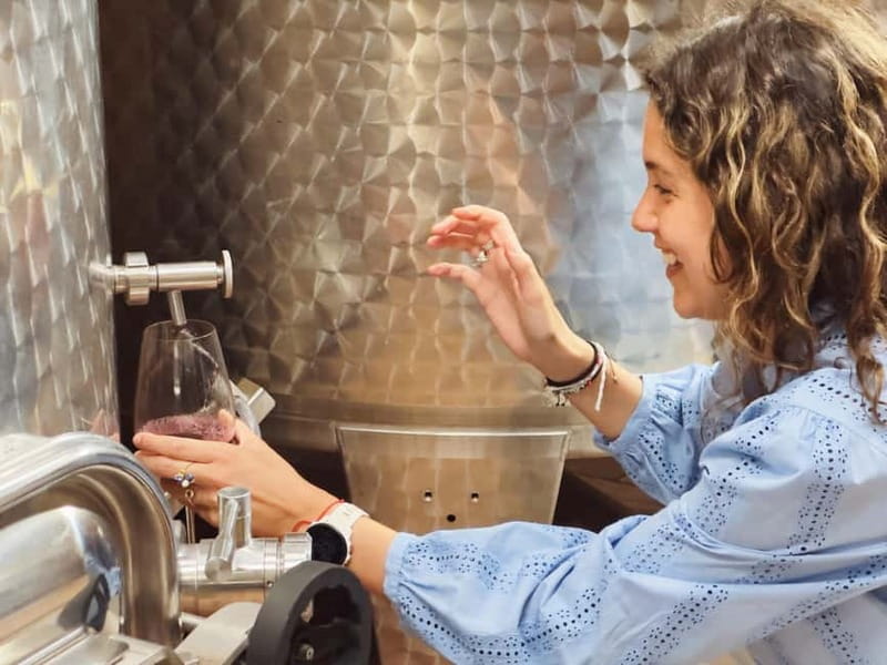 Bordeaux: Half-Day Private Natural Wine Tour & Tasting - Final Thoughts: Who Is This Tour Best For?