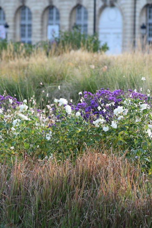 Bordeaux : see the whole city by bike - What makes this tour stand out?