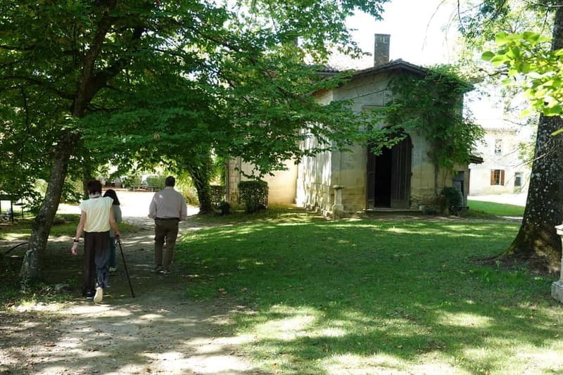 Bordeaux: St. Emilion Wine and E-Bike Tour with Lunch - Price and Value