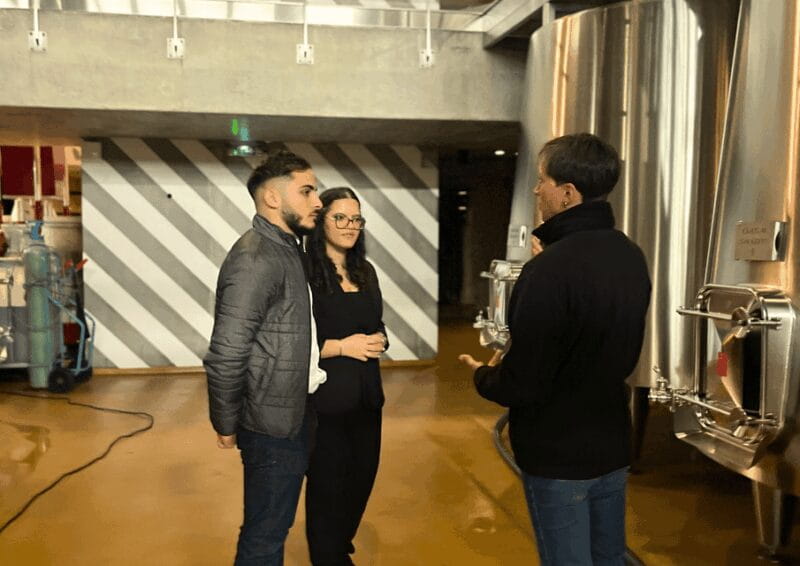 Bordeaux : Unforgettable Saint Emilion Half Day Wine Tour - Discovering the Charm of Saint-Émilion Village