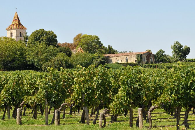 Bordeaux Vineyards Wine Tasting Half-Day Trip - Inclusions and Exclusions