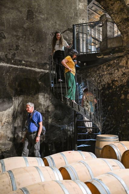 Bordeaux: Vineyards Wine Tasting Half-Day Trip - Guides and Tour Experience: Knowledge is Key