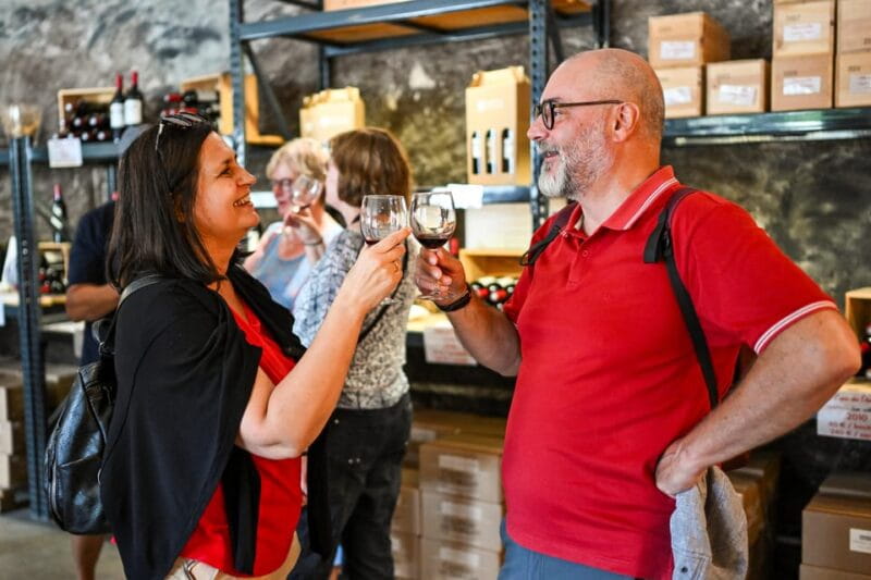 Bordeaux: Vineyards Wine Tasting Half-Day Trip - Who This Tour Is Best For