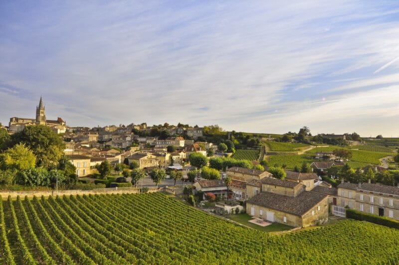 Bordeaux: Vineyards Wine Tasting Half-Day Trip - Practical Tips for a Smooth Experience