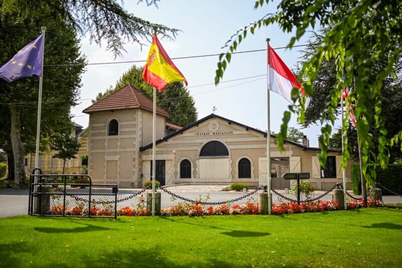 Bordeaux: Vineyards Wine Tasting Half-Day Trip - The Sum Up: Who Benefits Most from This Tour?