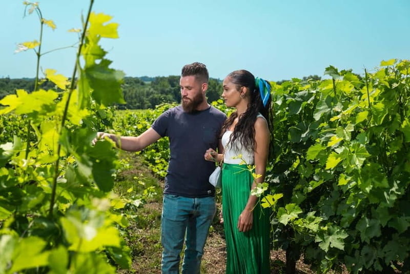 Bordeaux: Visit to Château de Reignac and prestige tasting - FAQ