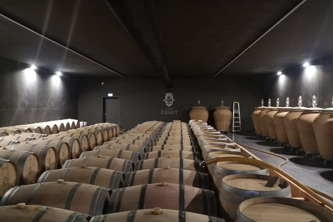 Bordeaux wine tour: 2 wineries (red & white wine) - Who Is This Tour Best For?