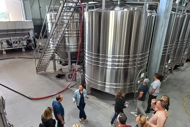 Bordeaux wine tour: 2 wineries (red & white wine) - Price and Overall Value