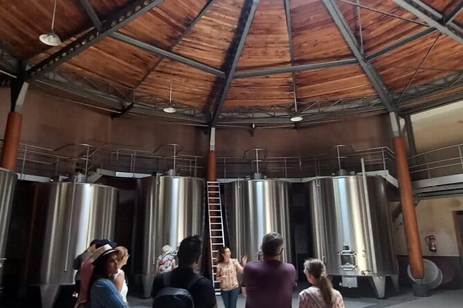 Bordeaux wine tour: 2 wineries (red & white wine) - Practical Tips for Booking & Participation