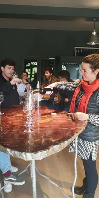 Bordeaux wine tour: 2 wineries & wine tastings (red & white) - Price and Logistics
