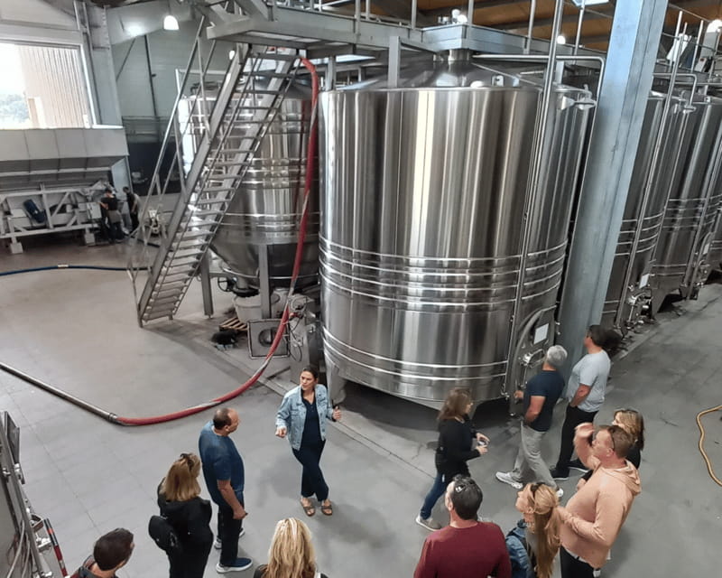 Bordeaux wine tour: 2 wineries & wine tastings (red & white) - The Bottom Line