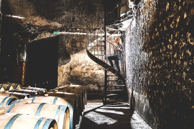 Bordeaux: Wine Tour and Tasting - The Tasting Experience: What’s on Offer?