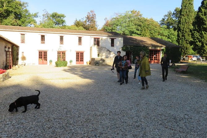 Bordeaux: Wine Tour and Tasting - Final Thoughts