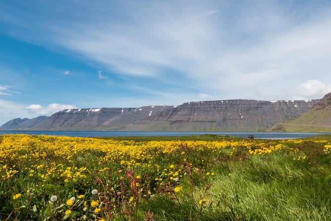 Borgarfjörður - Exploring Borgarfjörður: A Natural and Cultural Feast