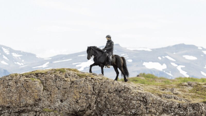Borgarnes: Horseback Riding Tour with Prep Lesson - Who Should Consider This?