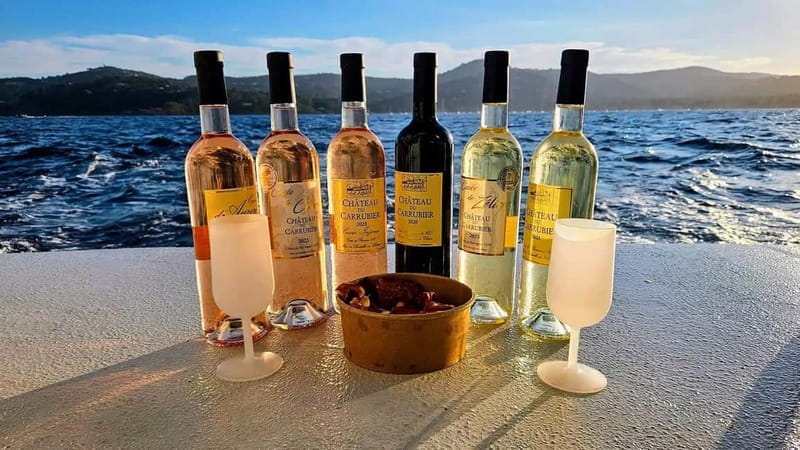 Bormes-les-Mimosas: Aperitif Tasting Cruise at Sea on an electric boat - An Eco-Friendly Coastal Escape: What to Expect on Your Electric Boat Cruise