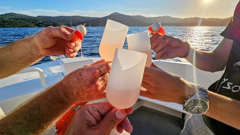 Bormes-les-Mimosas: Aperitif Tasting Cruise at Sea on an electric boat - A Tasting Experience with Local Flavors
