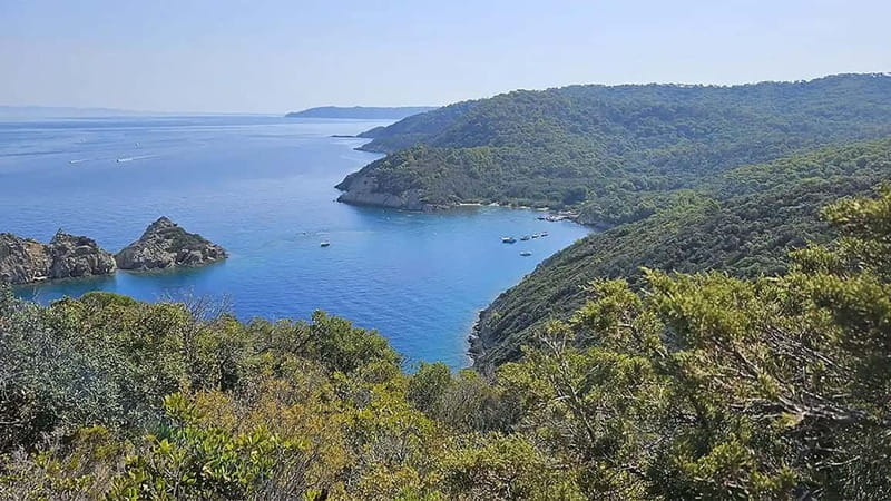 Bormes-les-Mimosas: Hybrid boat trip to Port-Cros Island - Final Thoughts