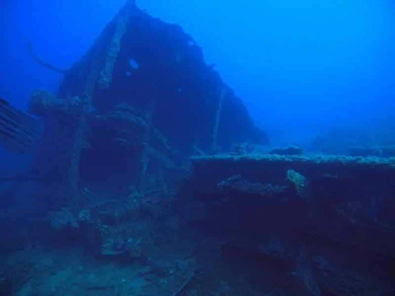 Bormes-les-Mimosas: Introductory diving session - Price and Logistics: Making It Work for You