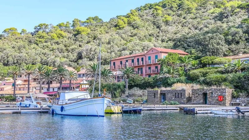 Bormes-les-Mimosas: Sea trip in the heart of Port-Cros National Park - FAQ