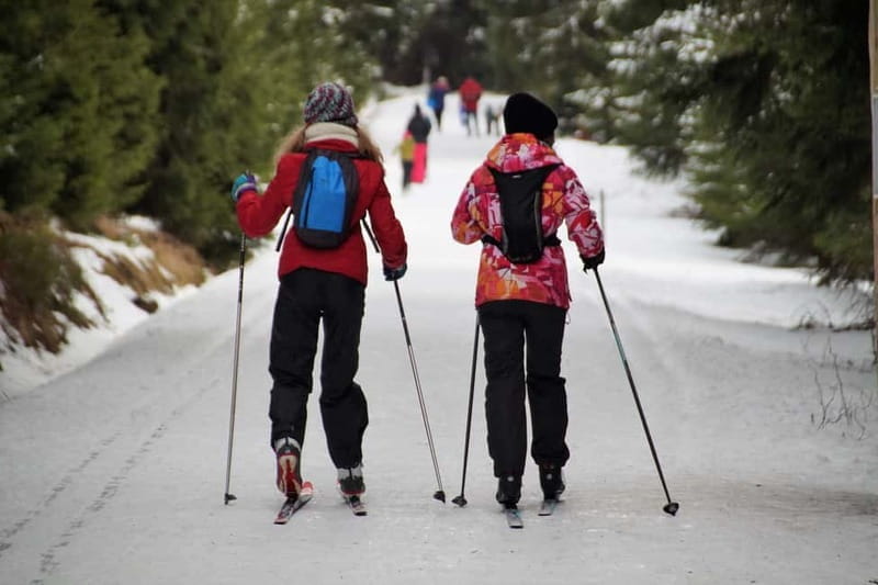 Borovets: 2-Hour Cross Country Ski Taster with Instructor - Who Will Love This Experience?