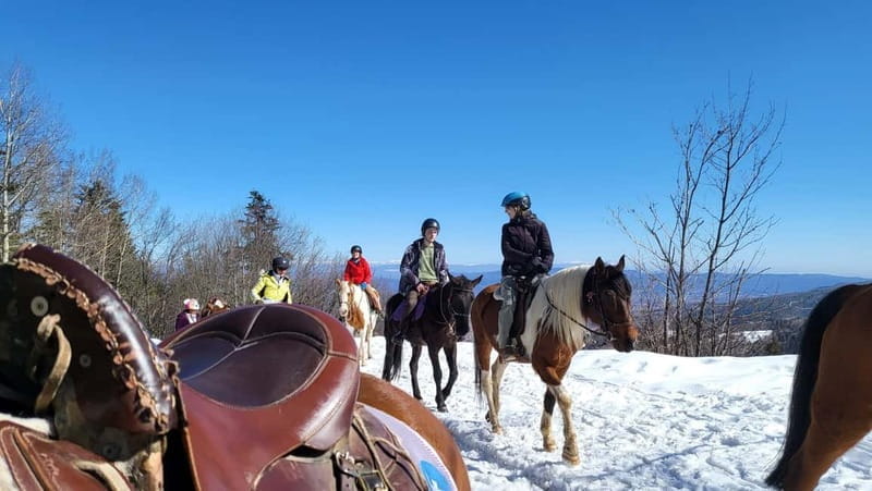 Borovets: Horse Riding Experience - Who Would Enjoy This Experience?