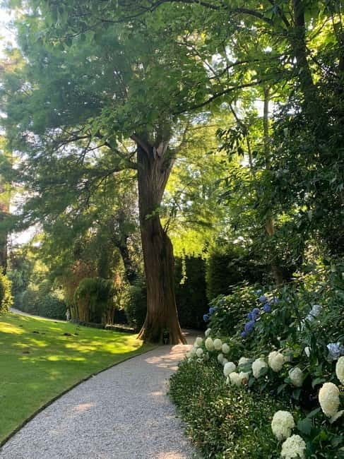 Borromean Islands: Isola Madre Open-Date Entry Ticket - The Lakefront and Relaxation Spots