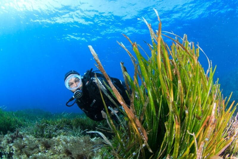 Bosa: Scuba Diving for Beginners in the Bosa Gulf - Key points / Takeaways