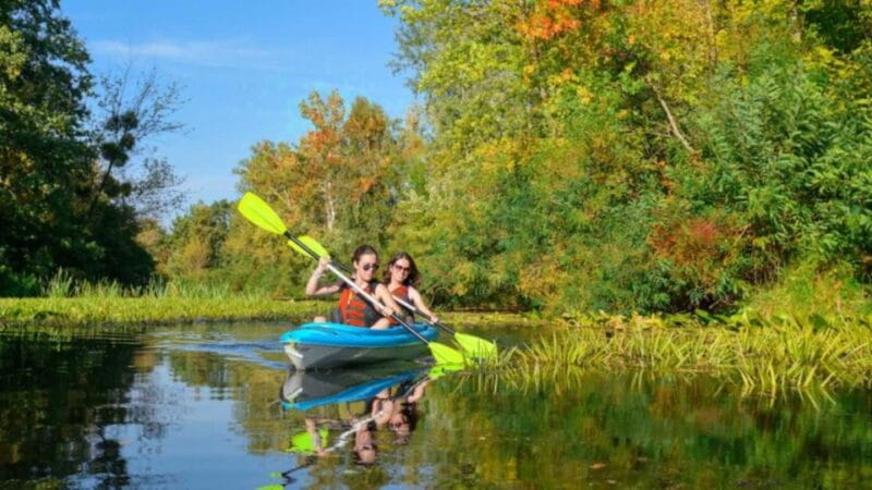 Bosa: Temo River Kayak Rental - Who Will Appreciate This Experience?