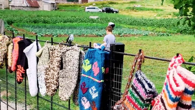 Bosnia's Nomad Havens: Lukomir & Umoljani - Final Thoughts