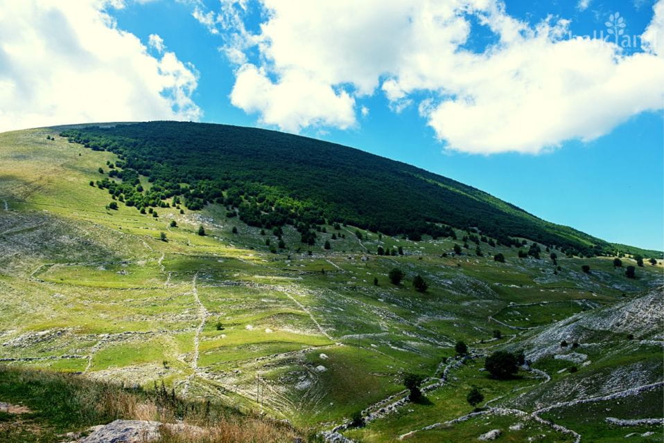 Bosnias Treasures: 7-Day Private Tour - Discover Mostar and Blagaj