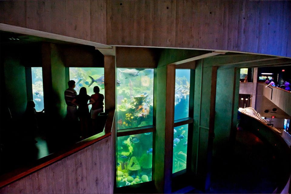 Boston: Go City All-Inclusive Pass With 45+ Attractions - Included Attractions