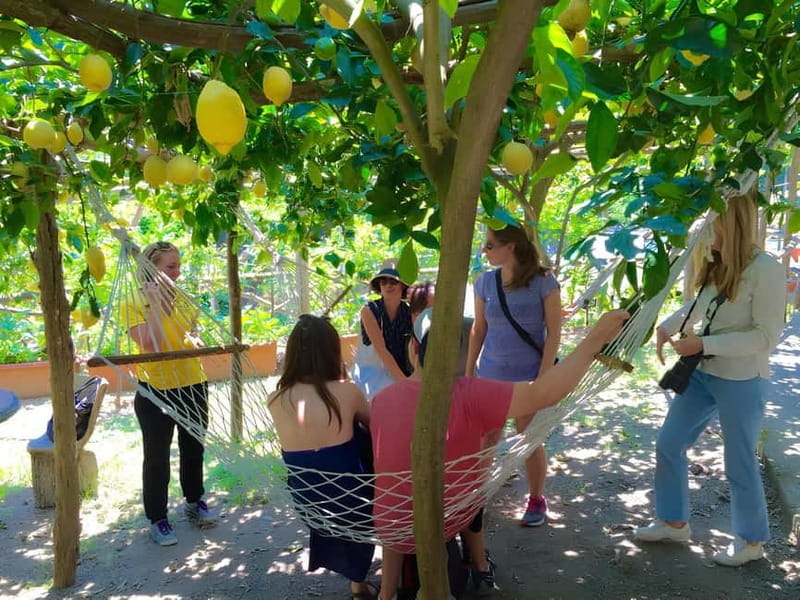 Botanic naturalistic Lemon tour & tasting - Discovering the Lemon Gardens of Amalfi