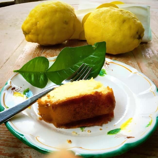 Botanic naturalistic Lemon tour & tasting - Practical Details and Logistics