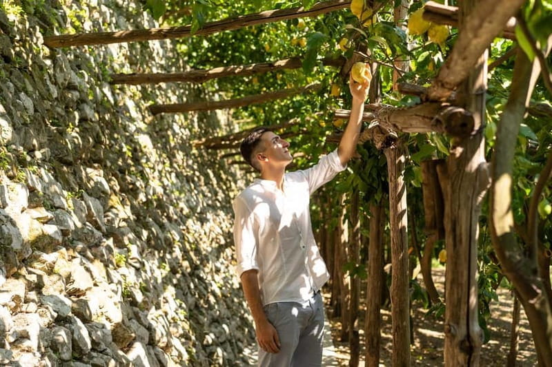 Botanic naturalistic Lemon tour & tasting - Price and Value