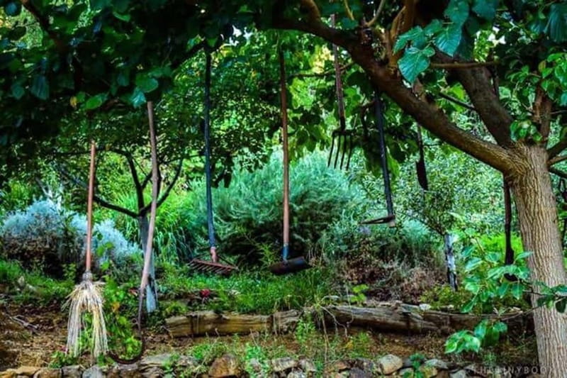 Botanical Garden & Aromas of the Wild Nature Adventures - Exploring Crete’s Mountain Trails and Village Charm