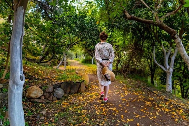 Botanical Garden & Aromas of the Wild Nature Adventures - The Botanical Park: A Quiet Retreat