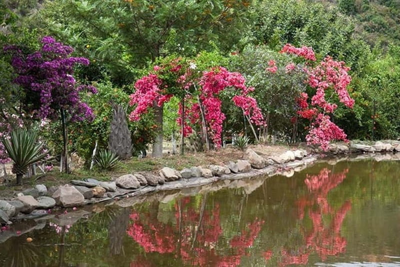 Botanical Garden & Aromas of the Wild Nature Adventures - Who Will Love This Tour?
