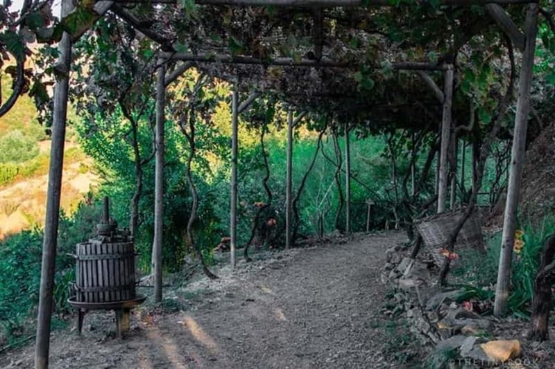 Botanical Garden & Aromas of the Wild Nature Adventures - FAQs