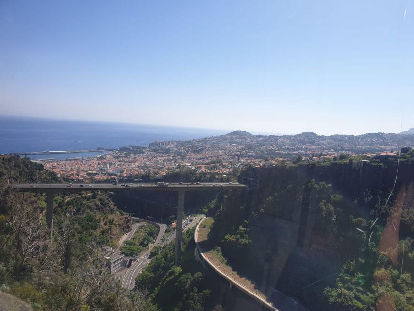 Botanical Garden Cable Car Ticket - Botanical Garden Admission